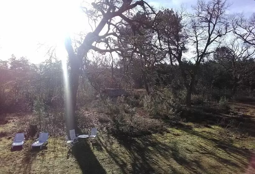 Majatalo L'atelier Du Grison