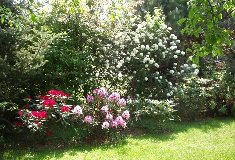 Pension & Apartments Ertl