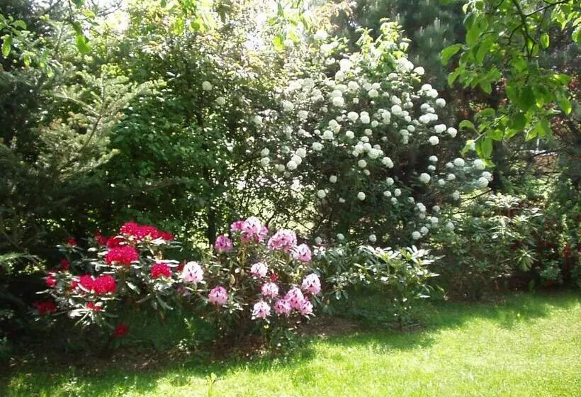 Pension & Apartments Ertl