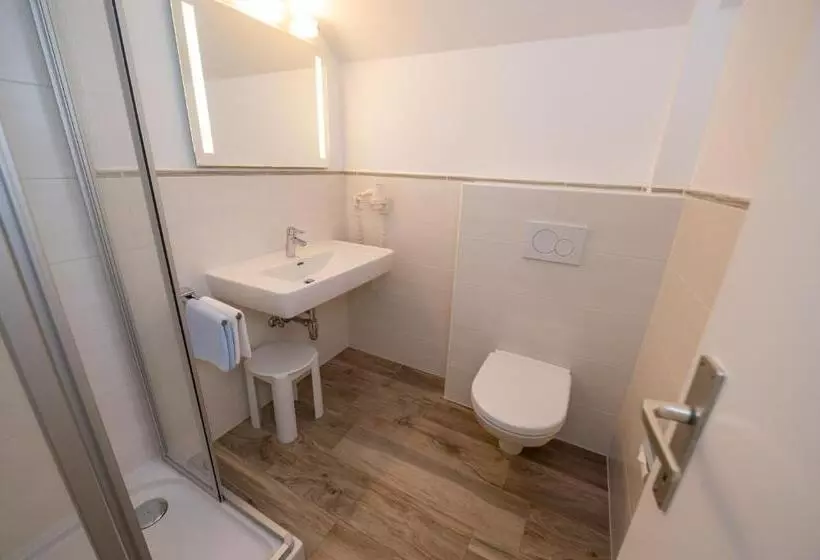 Pension & Apartments Ertl