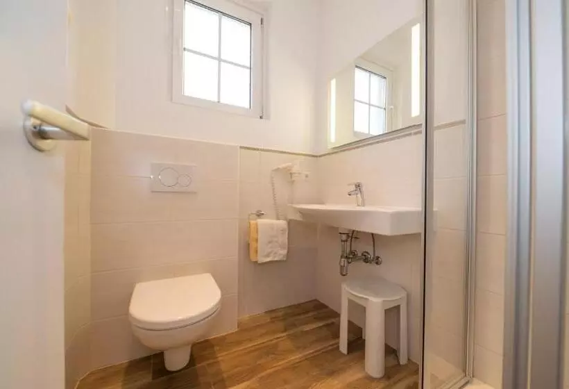 Pension & Apartments Ertl