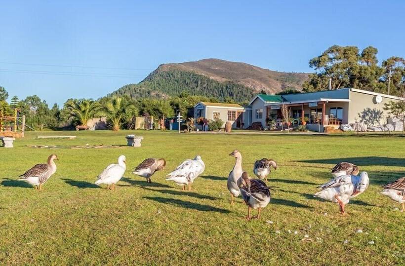 فندق ريفى Groeneweide