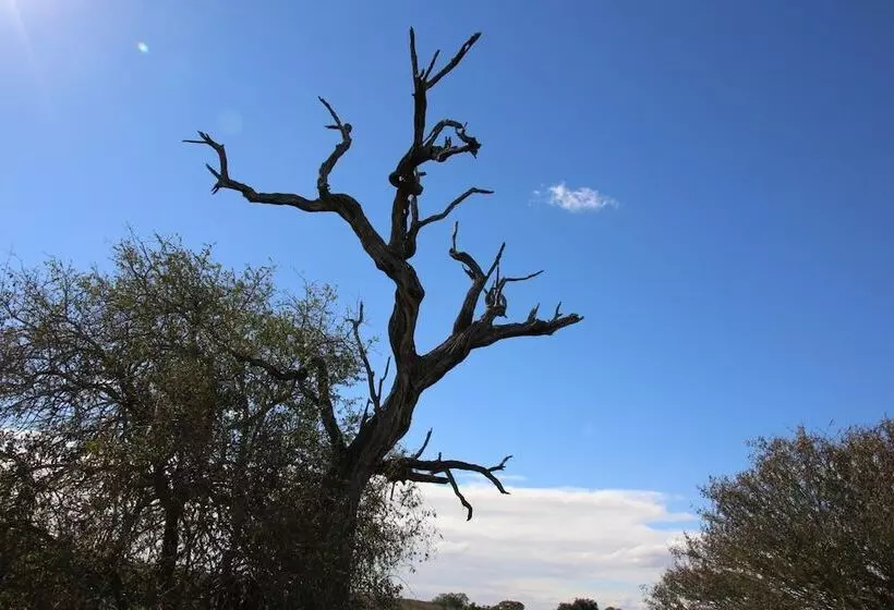 ペンション Kruger Castle Guest House