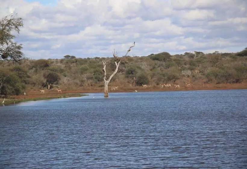 ペンション Kruger Castle Guest House