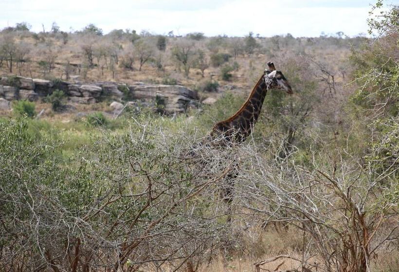 Pension Kruger Castle Guest House