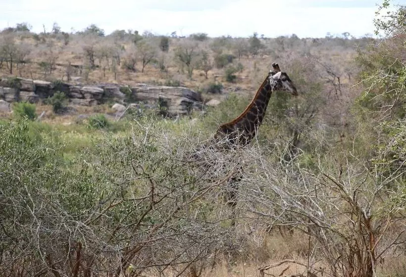 ペンション Kruger Castle Guest House