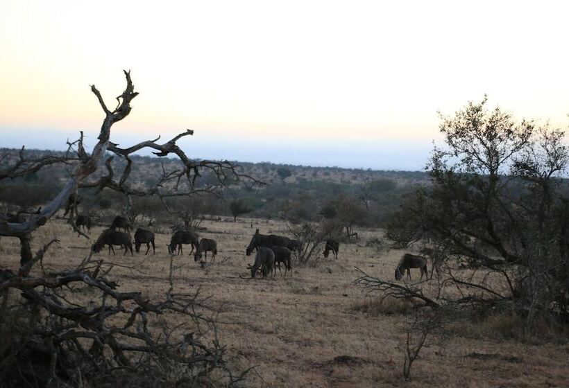 Pension Kruger Castle Guest House