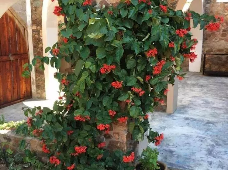 ペンション Kruger Castle Guest House