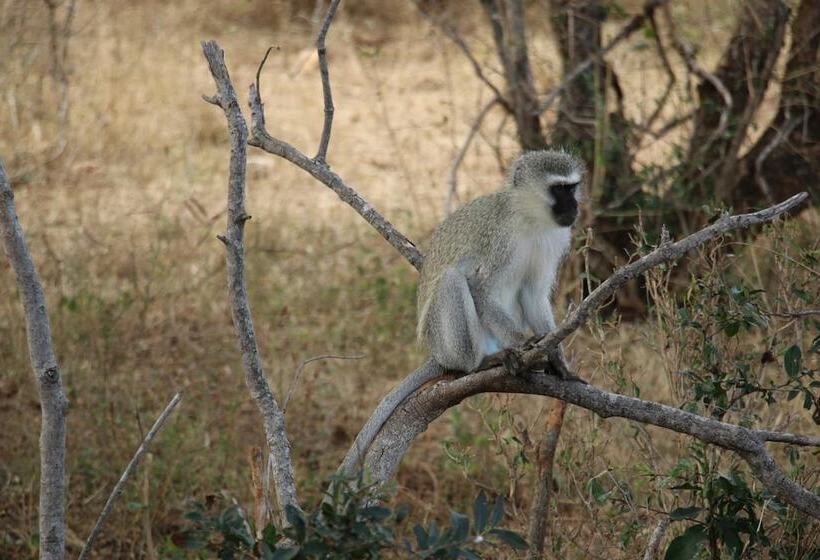 Pension Kruger Castle Guest House
