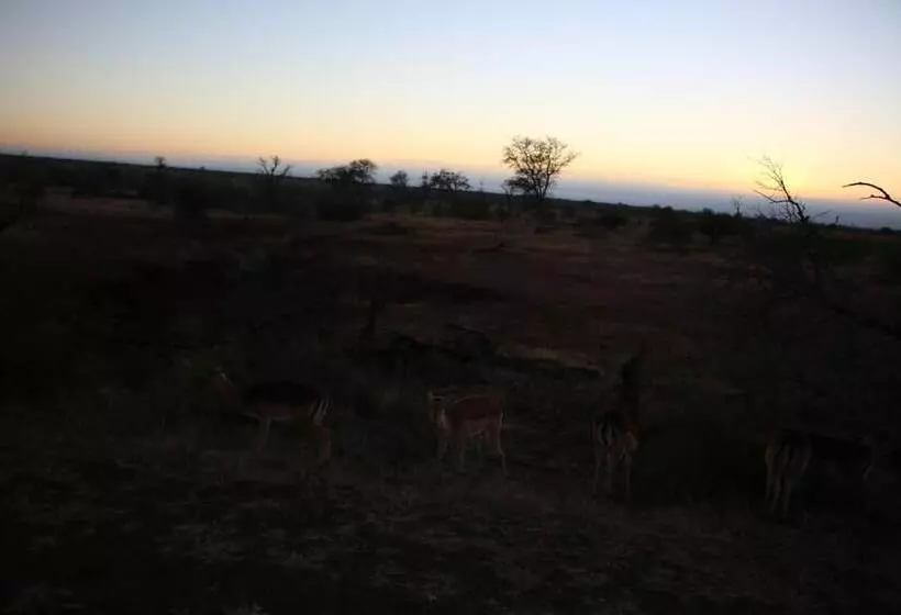 ペンション Kruger Castle Guest House