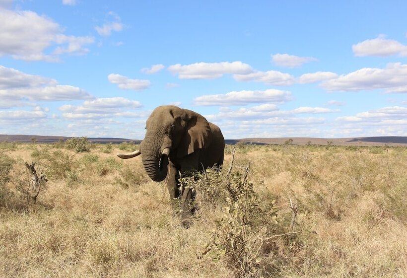 Pension Kruger Castle Guest House