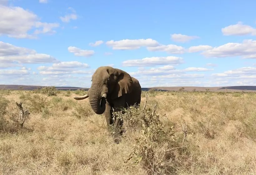 ペンション Kruger Castle Guest House