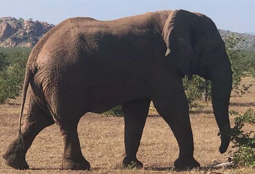 Pension Kruger Castle Guest House