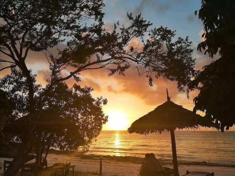 پانسیون Pemba Paradise