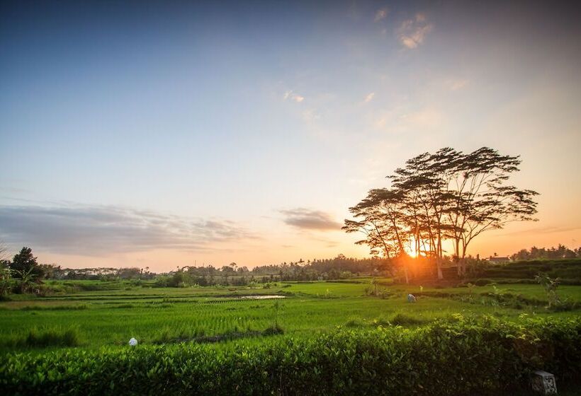 Griya Kcb Villa Ubud