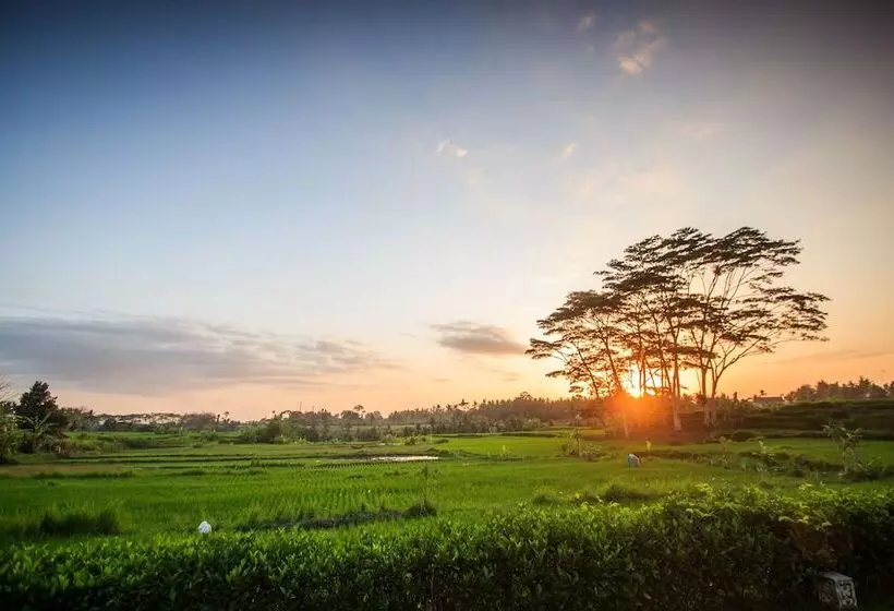 Griya Kcb Villa Ubud
