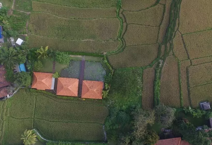 Griya Kcb Villa Ubud