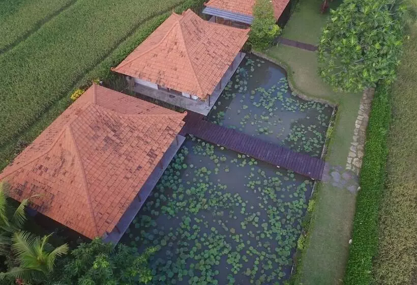 Griya Kcb Villa Ubud