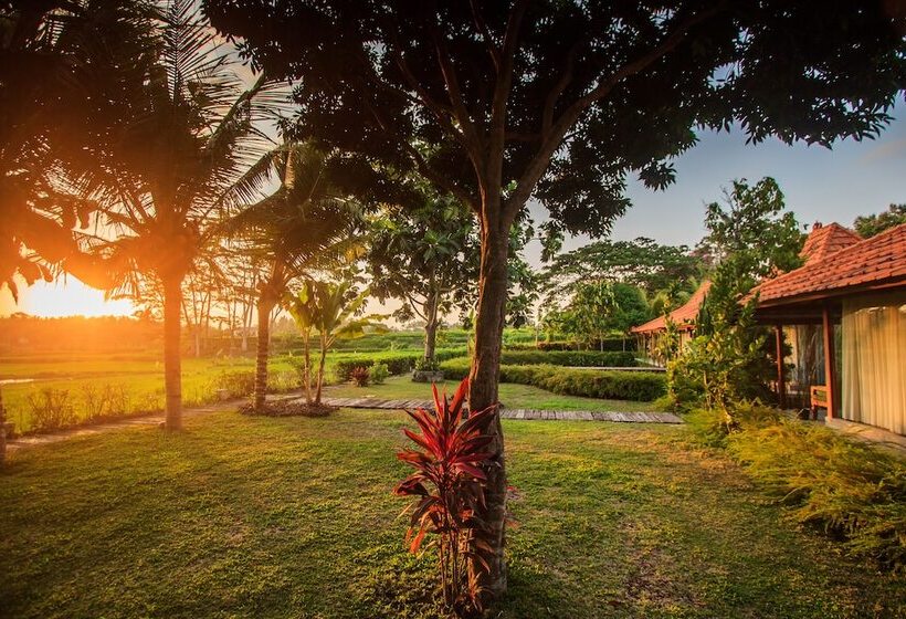 Griya Kcb Villa Ubud