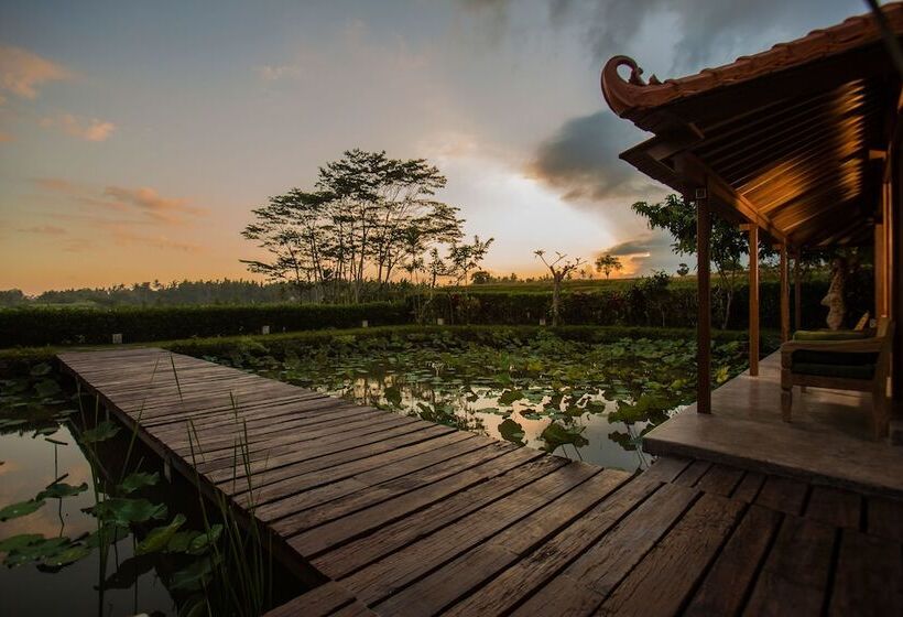 Griya Kcb Villa Ubud