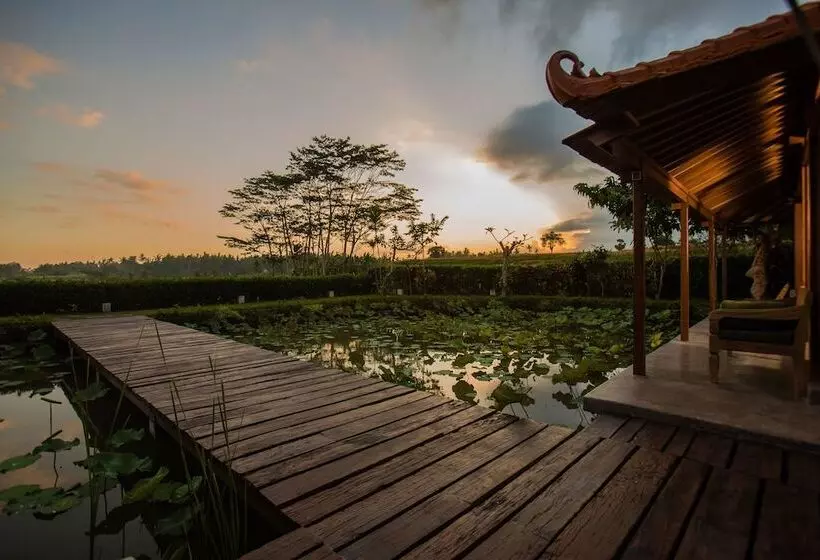 Griya Kcb Villa Ubud