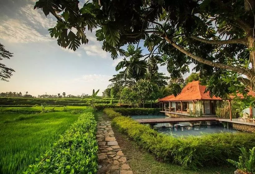 Griya Kcb Villa Ubud