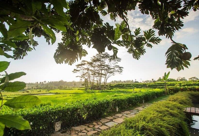Griya Kcb Villa Ubud