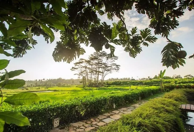 Griya Kcb Villa Ubud