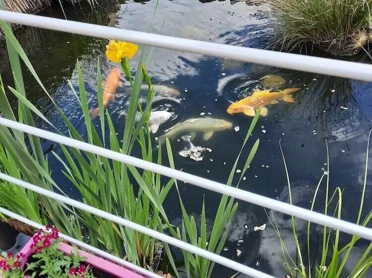 Aamiaismajoitus (B&B) Chambres D'hotes L'amandier