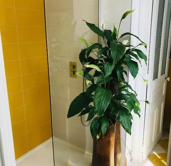 Aamiaismajoitus (B&B) La Maison Leonard