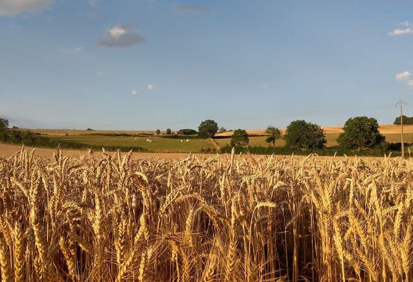 צימר Le Moulin Des Valignards