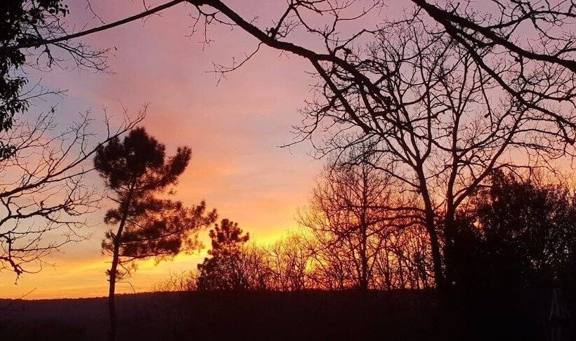 민박 Gîte Le Nieudegat Chambre Et Table D Hôte Piscine Climatisation Proche De Sarlat Au Coeur De La Natu
