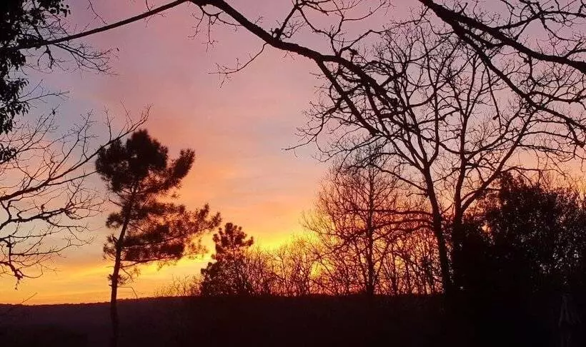 ベッドアンドブレックファースト Gîte Le Nieudegat Chambre Et Table D Hôte Piscine Climatisation Proche De Sarlat Au Coeur De La Natu