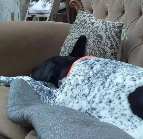 Aamiaismajoitus (B&B) Mimi La Sardine