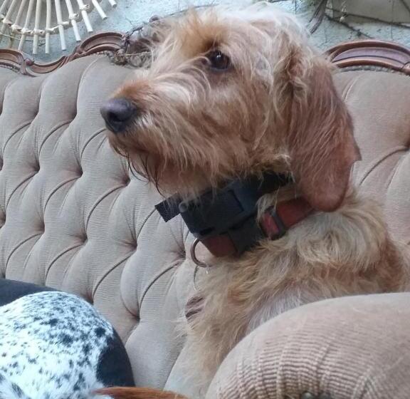 مبيت وإفطار Mimi La Sardine