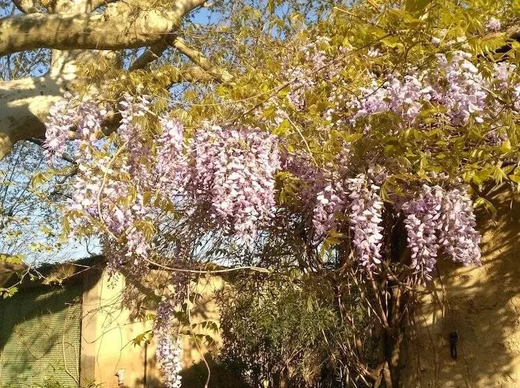 Aamiaismajoitus (B&B) Reve D’emma