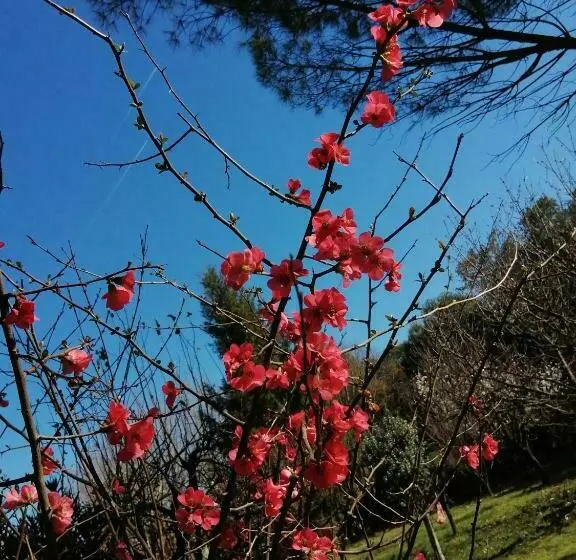 Aamiaismajoitus (B&B) Reve D’emma