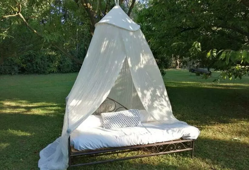 Aamiaismajoitus (B&B) Reve D’emma