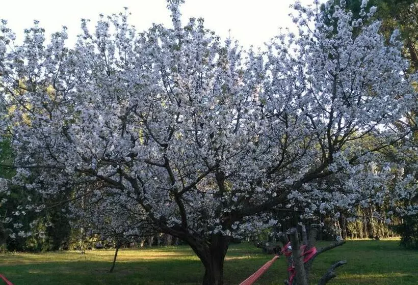 Aamiaismajoitus (B&B) Reve D’emma