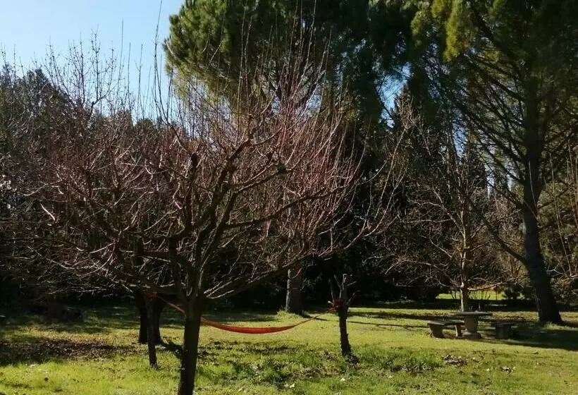 Aamiaismajoitus (B&B) Reve D’emma