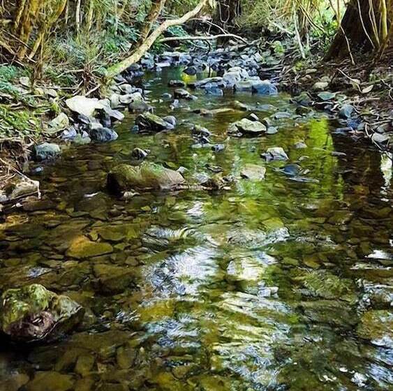 ペンション Le Moulin De Gauty