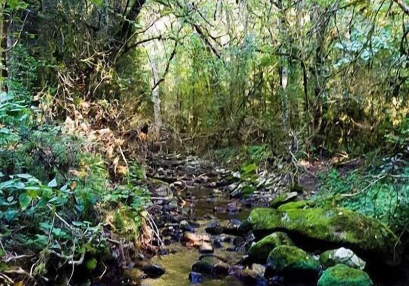 ペンション Le Moulin De Gauty