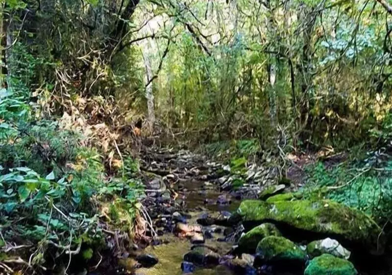 ペンション Le Moulin De Gauty