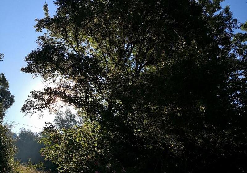 ペンション Le Moulin De Gauty