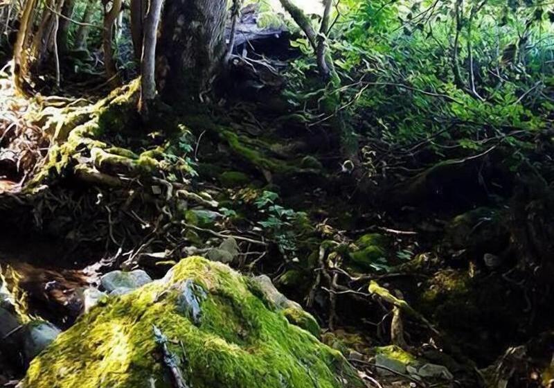 ペンション Le Moulin De Gauty