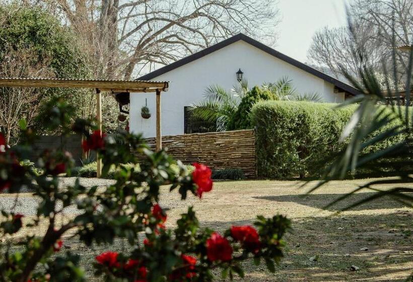 The Green Lantern   Howick