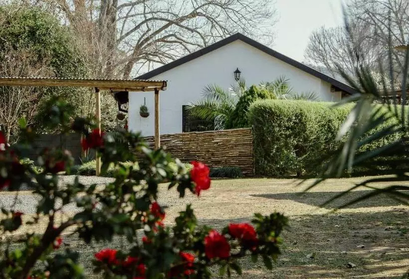 The Green Lantern   Howick