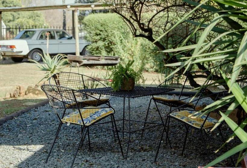 The Green Lantern   Howick