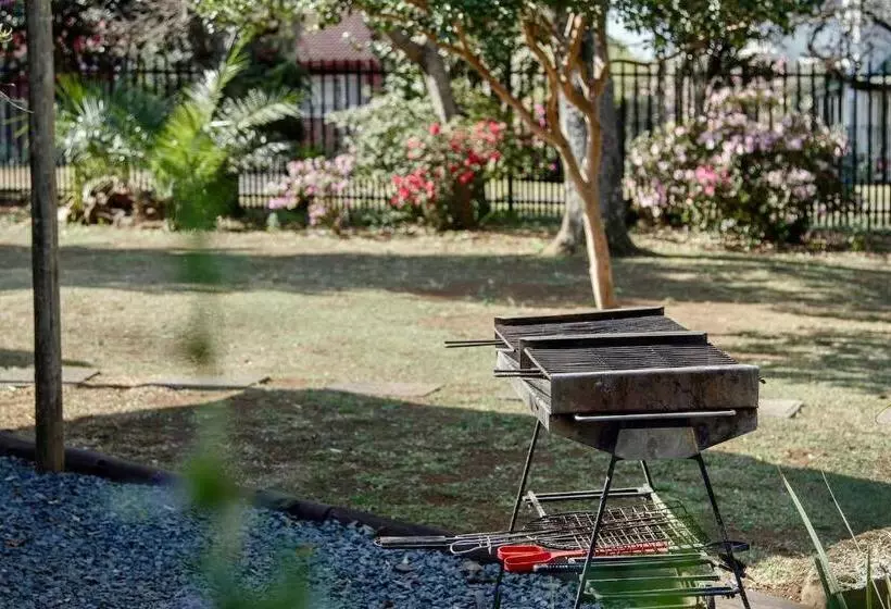 The Green Lantern   Howick