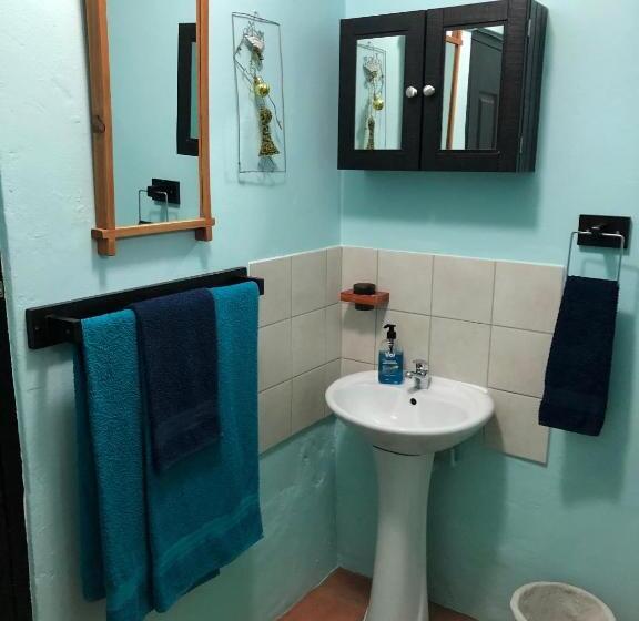 The Green Lantern   Howick